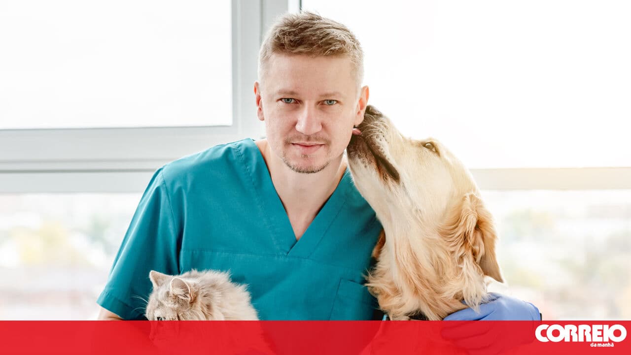 Veterinarians refuse to treat those who identify as animals
