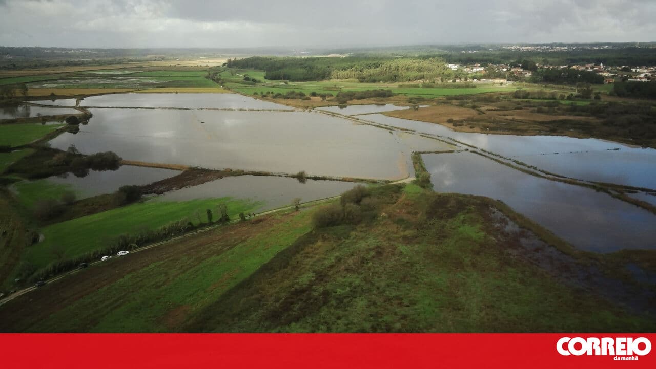 At least 500 producers 'severely affected' by the passage of Depression Kristin through the Lis Valley