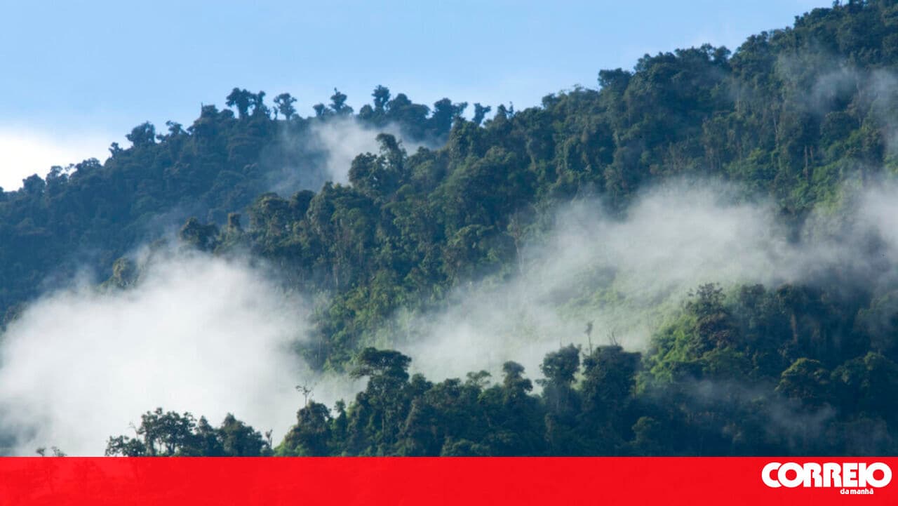 A total of 44 species were declared extinct in 2025