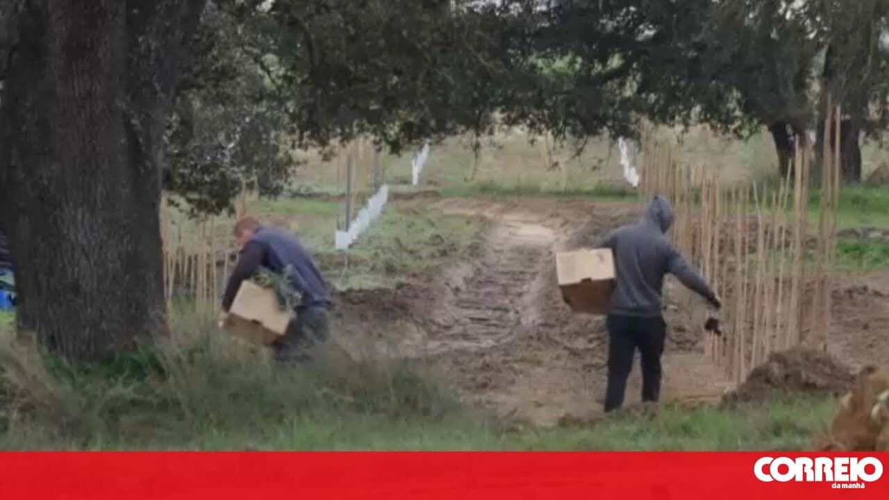 Beja Court postpones ruling on alleged exploitation of immigrants in Alentejo