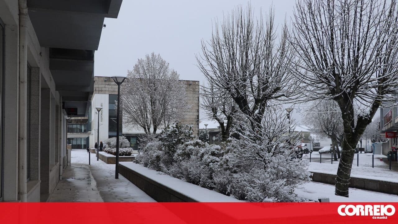 Yes, it really is Portugal! Snowfall creates 'Christmas-card' scenes in the North and Centre of the country
