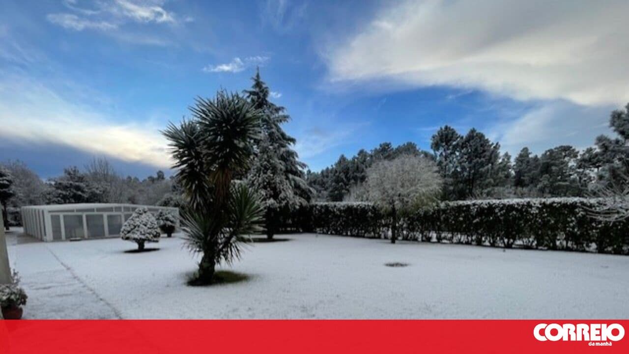 Snowfall closes municipal road between Cinfães and Castro Daire