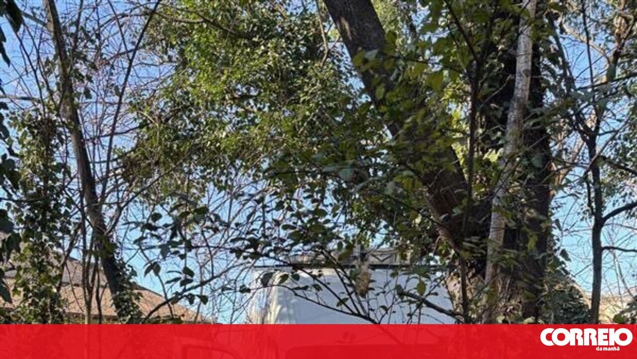 Portuguese national shot in Baltimore by US immigration police