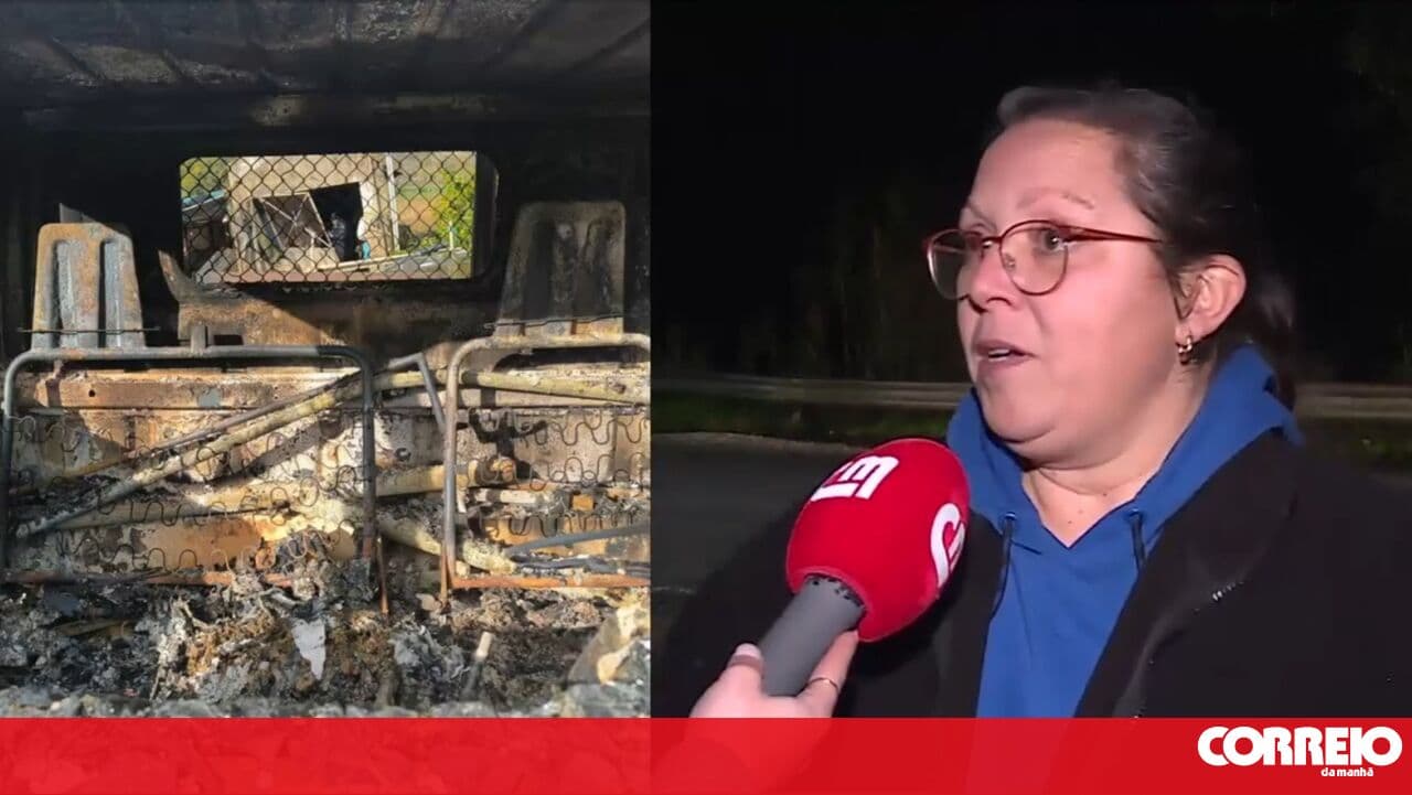 "Pure act of vandalism": owners of the vandalised allotment in Loures filed a complaint with the PSP