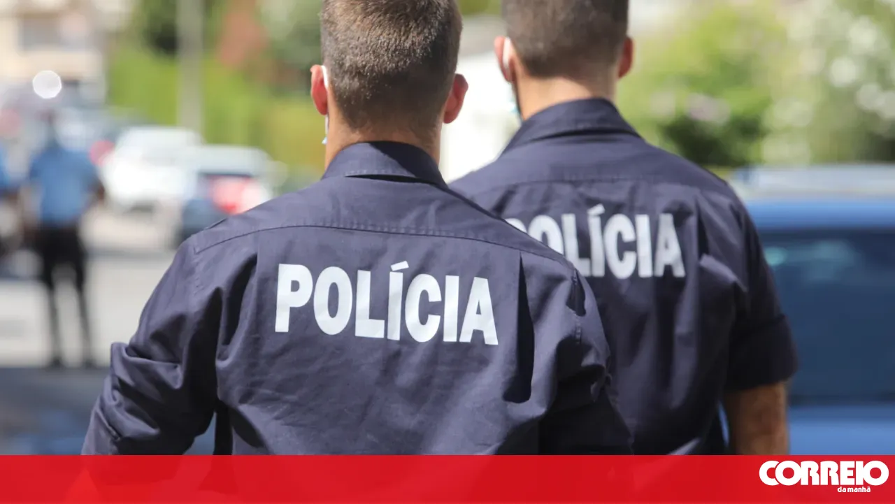 PSP officers from Seixal rescue seven-month pregnant woman from abusive husband