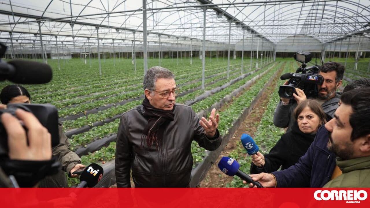 Seguro tastes strawberries with no flavour of premature victory after being told "you're already president"
