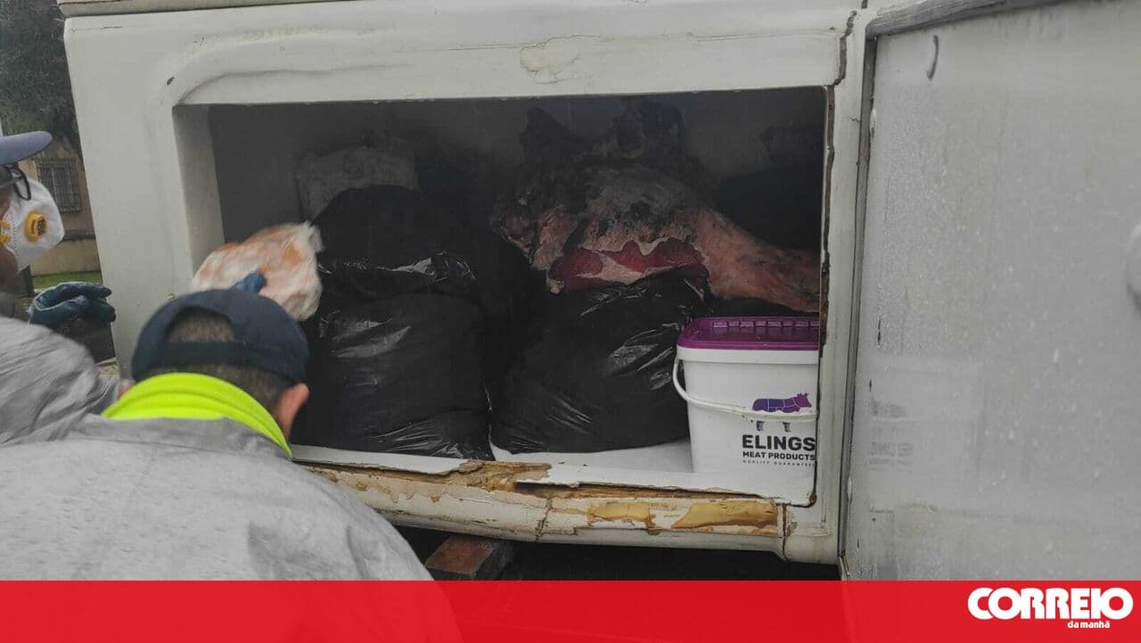 Strong odours prompt authorities to a butcher's in Carregado