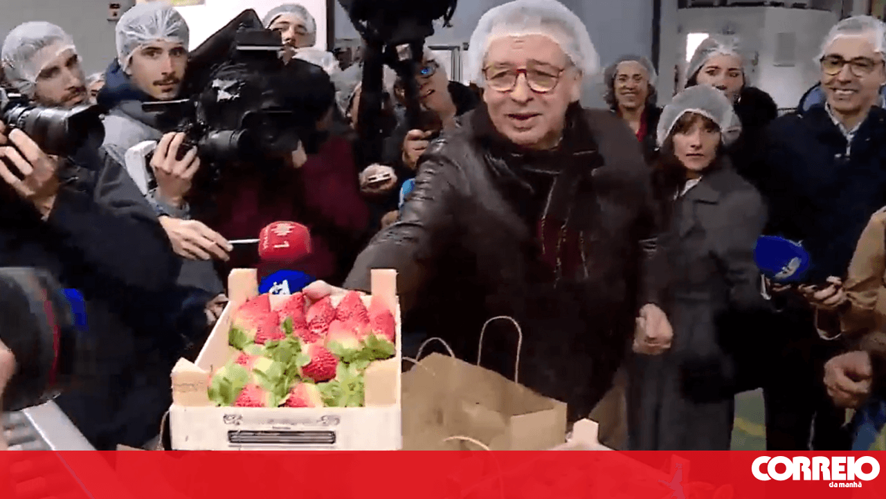 Seguro prova morangos sem sabor a vitória antecipada após ouvir que "já é presidente"