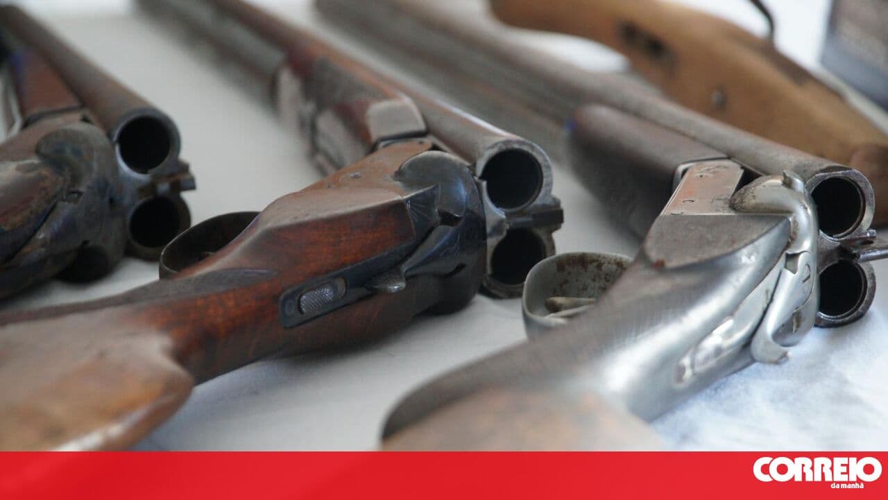 Court officer takes unpaid leave to traffic arms