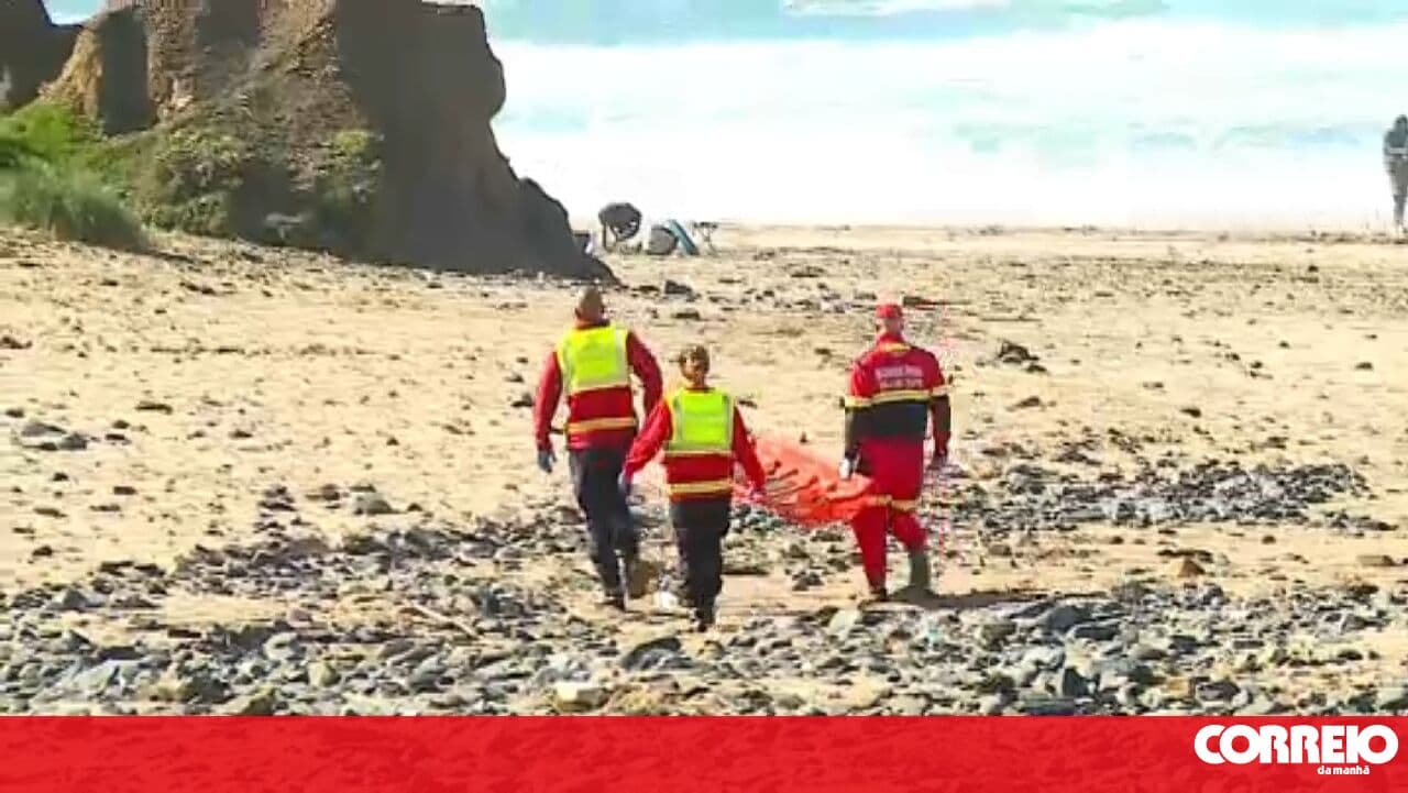 Paraglider dies after fall on beach in Vila do Bispo
