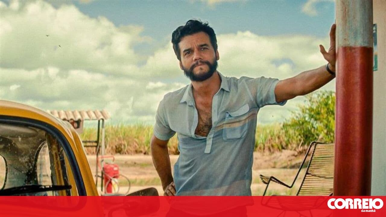 Brazilian film and actor vie for Best Picture and Best Actor: here are the nominations for the 2026 Oscars