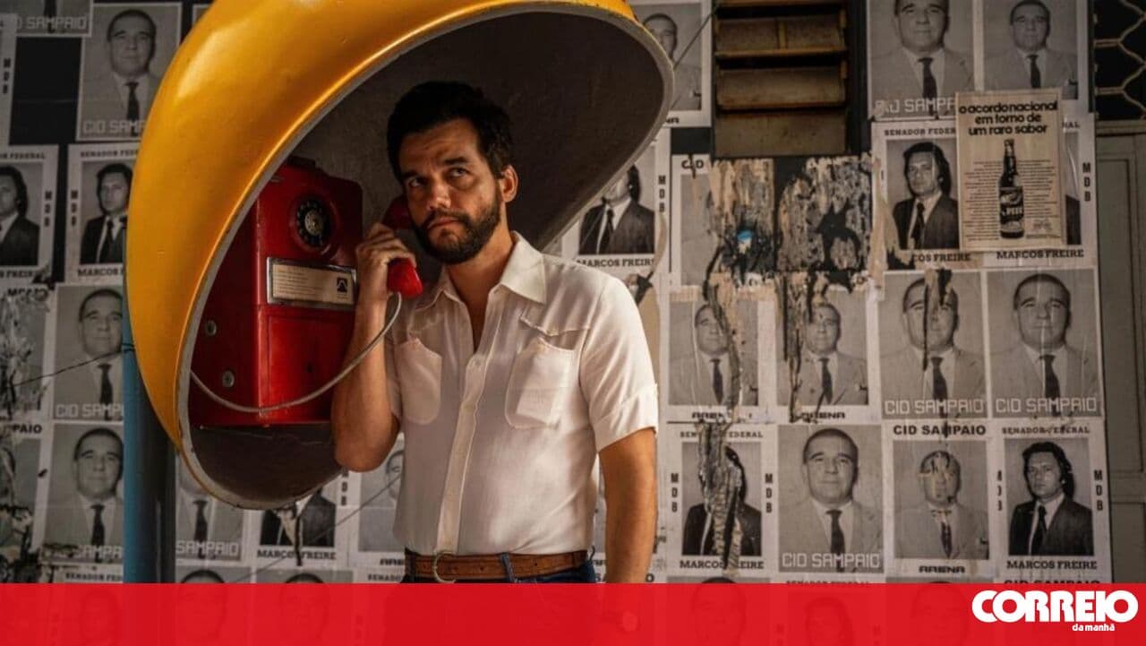 Brazil shines among the Oscar nominees