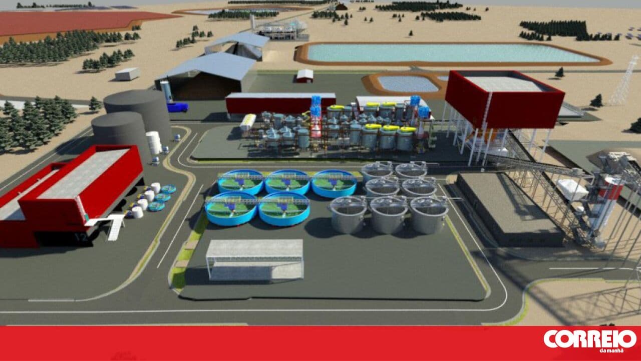 Copper and zinc mining rejected