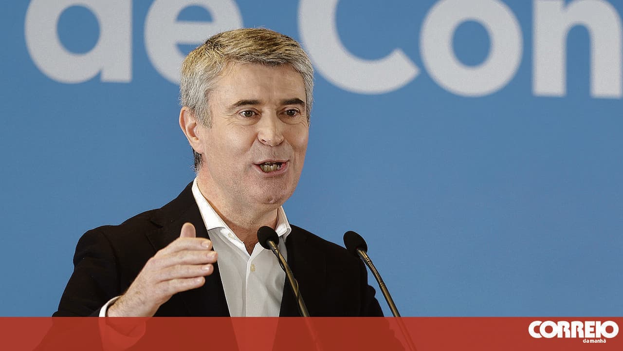 Carneiro has no rival in sight in the Socialist Party