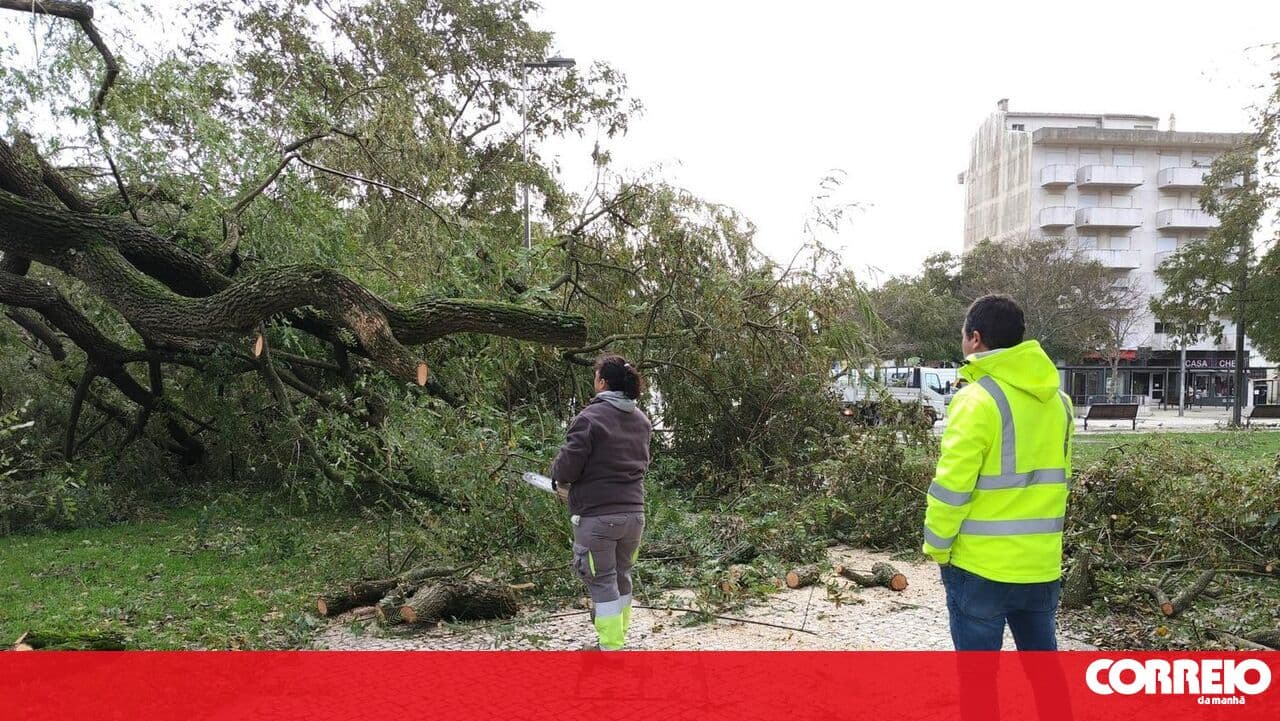 75 roads affected in the Santarém district due to severe weather