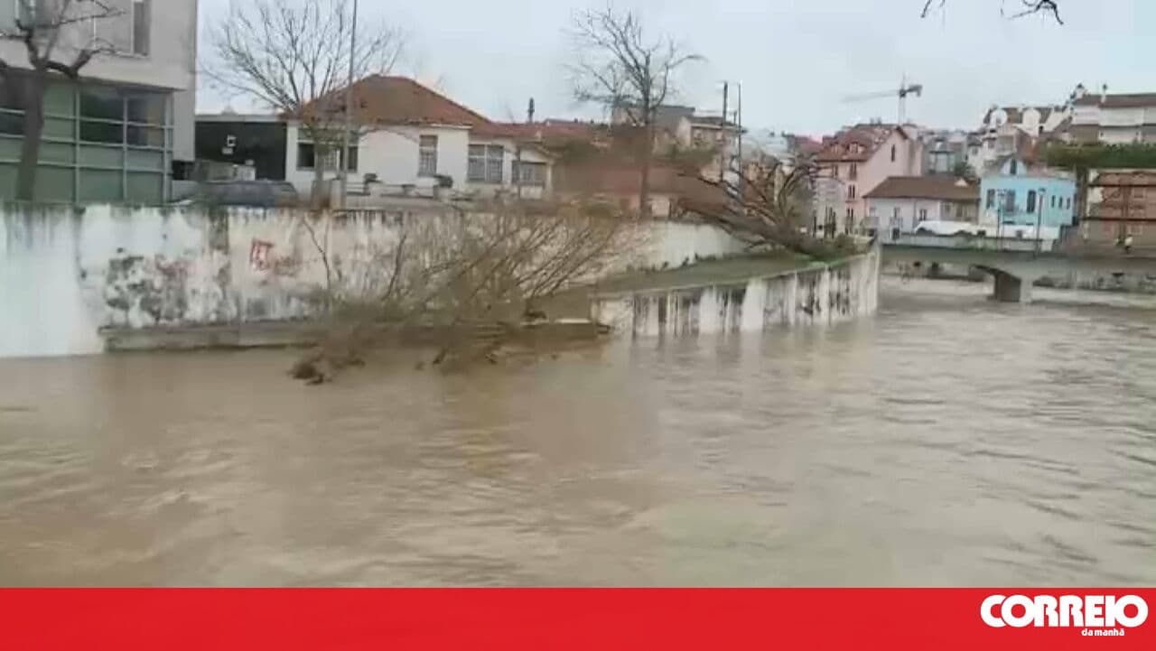 Greenhouses destroyed by Hurricane Leslie 'blown away' again in Leiria