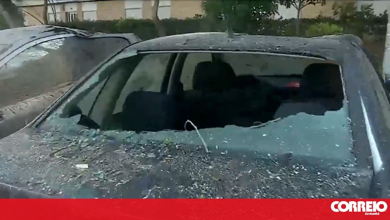 Strong winds in the Algarve mainly caused trees to fall