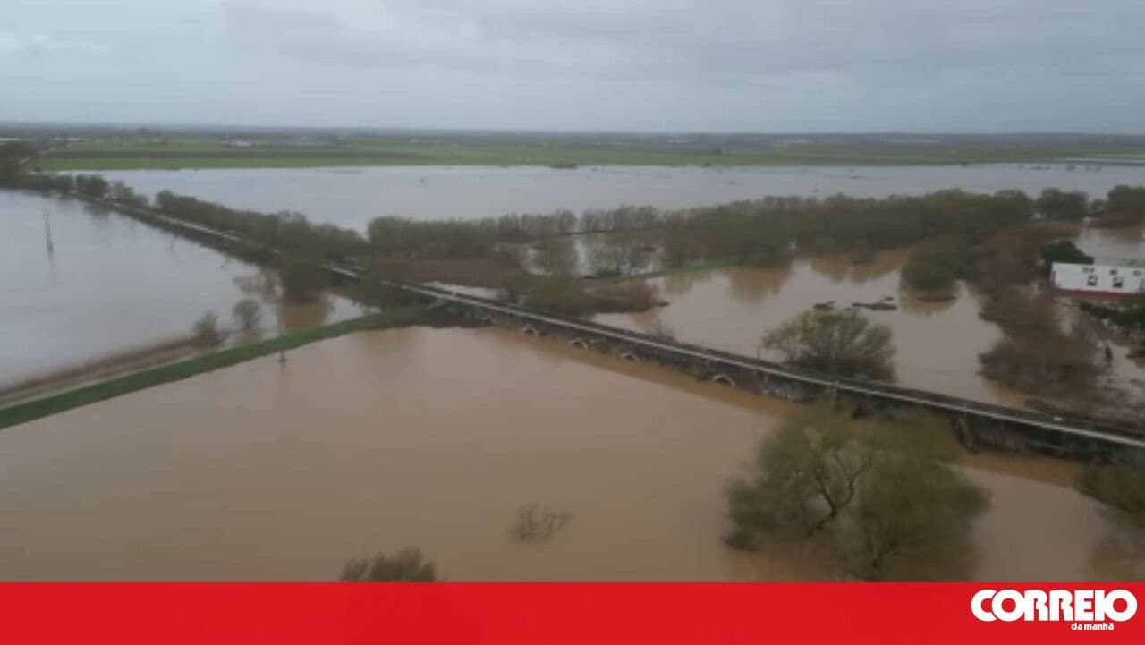 Several roads submerged due to the river's high flow in Cartaxo
