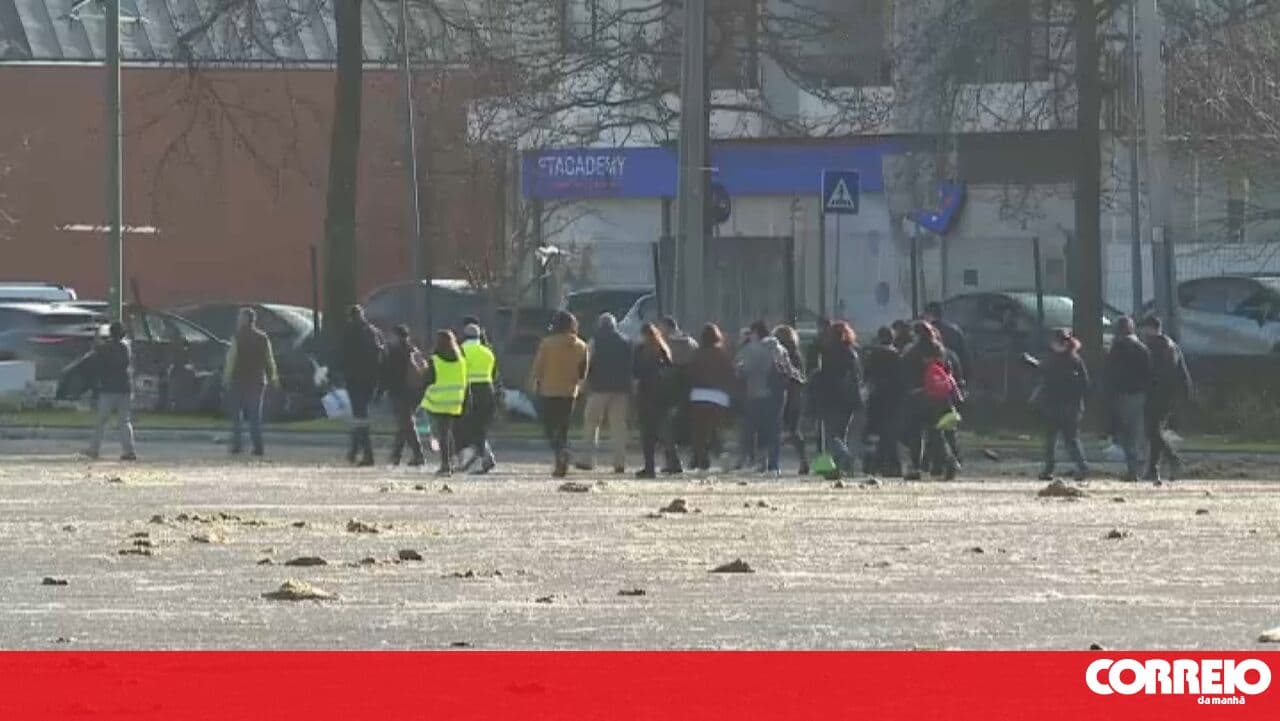 Hundreds of volunteers unite to clean up and rebuild Leiria