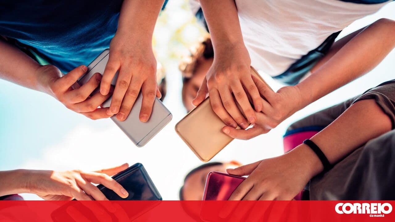 Expert criticises ban on social media access for under-16s