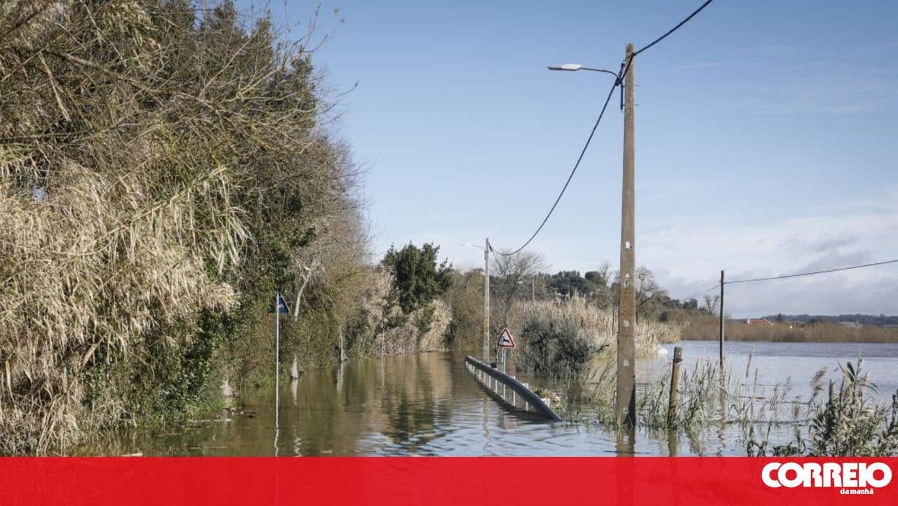 Médio Tejo considers minister's statements on support delays following bad weather to be "unfair"