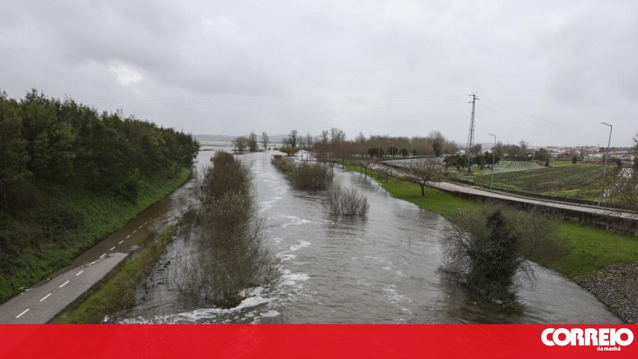 Coimbra City Council and University organise debate today on flooding in the Mondego