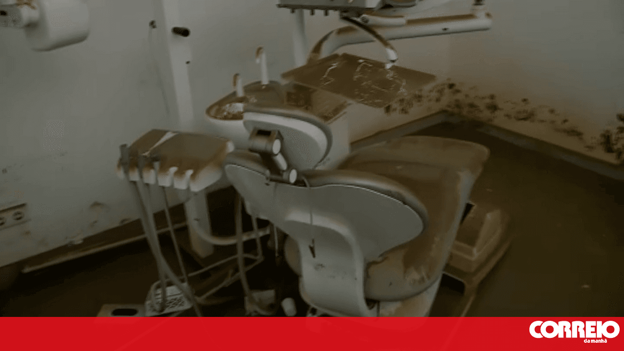 "A lifelong struggle that we saw go down the drain": clinic owner in Alcácer do Sal shows damage caused by flooding