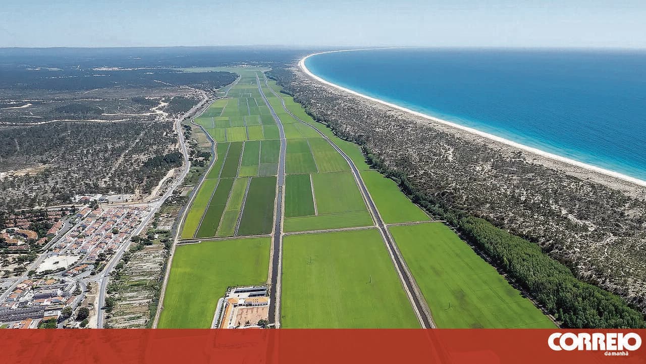 American fund offers 203 million euros for Comporta