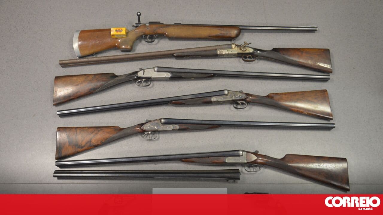 PSP seizes eight weapons in Cascais