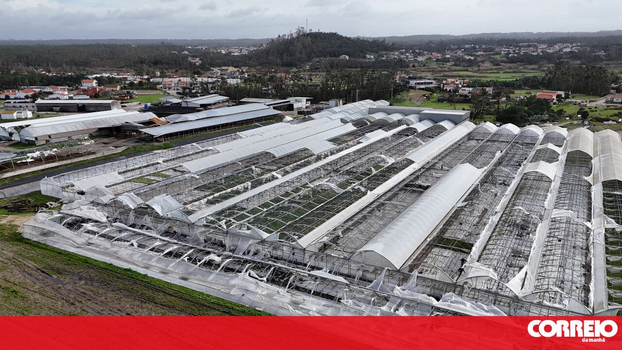 Farmers estimate 600 million in losses due to bad weather