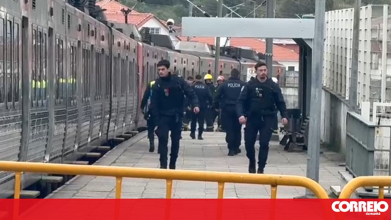 Young person around 20 years old dies after being hit by a train in Mem-Martins