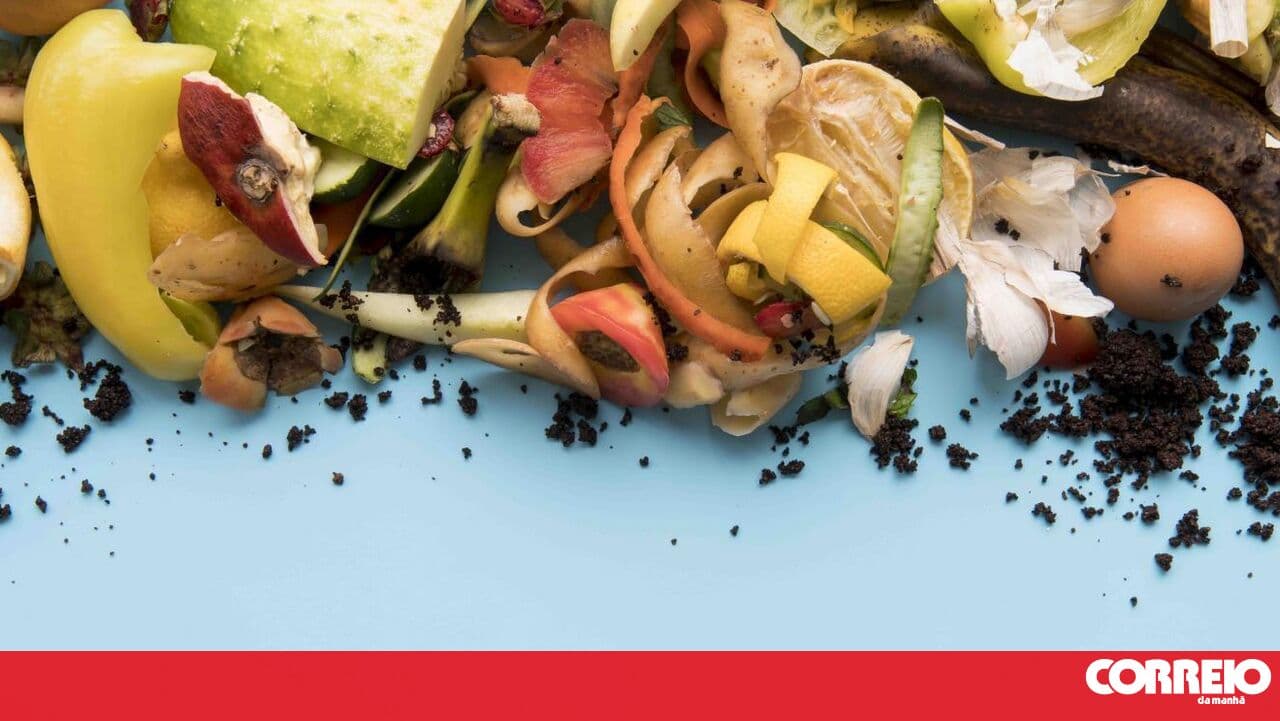 Coimbra strengthens commitment to bio-waste collection