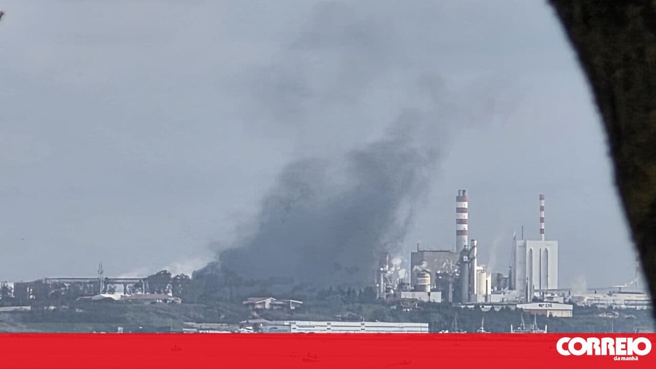 Industrial fire at the Carmona company in Setúbal
