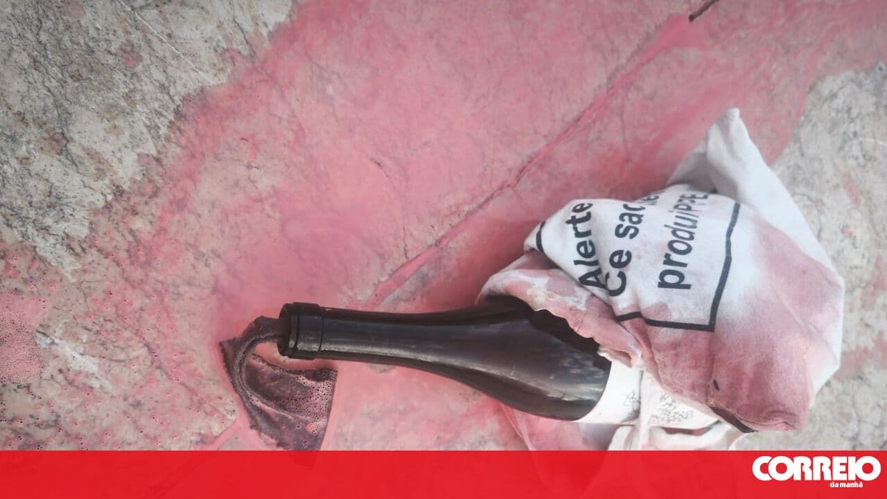 Anarchist attacks anti-abortion march with a Molotov cocktail