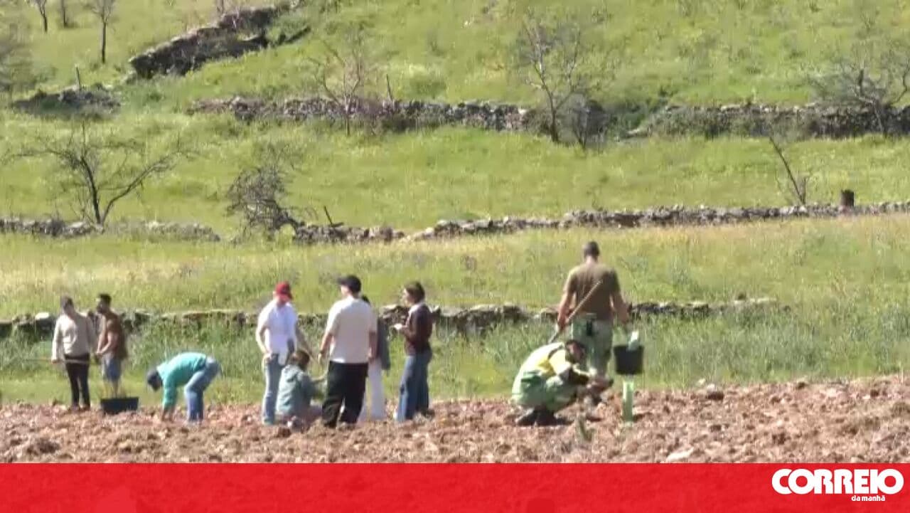 Students and community join forces to reforest the mountains in Nisa