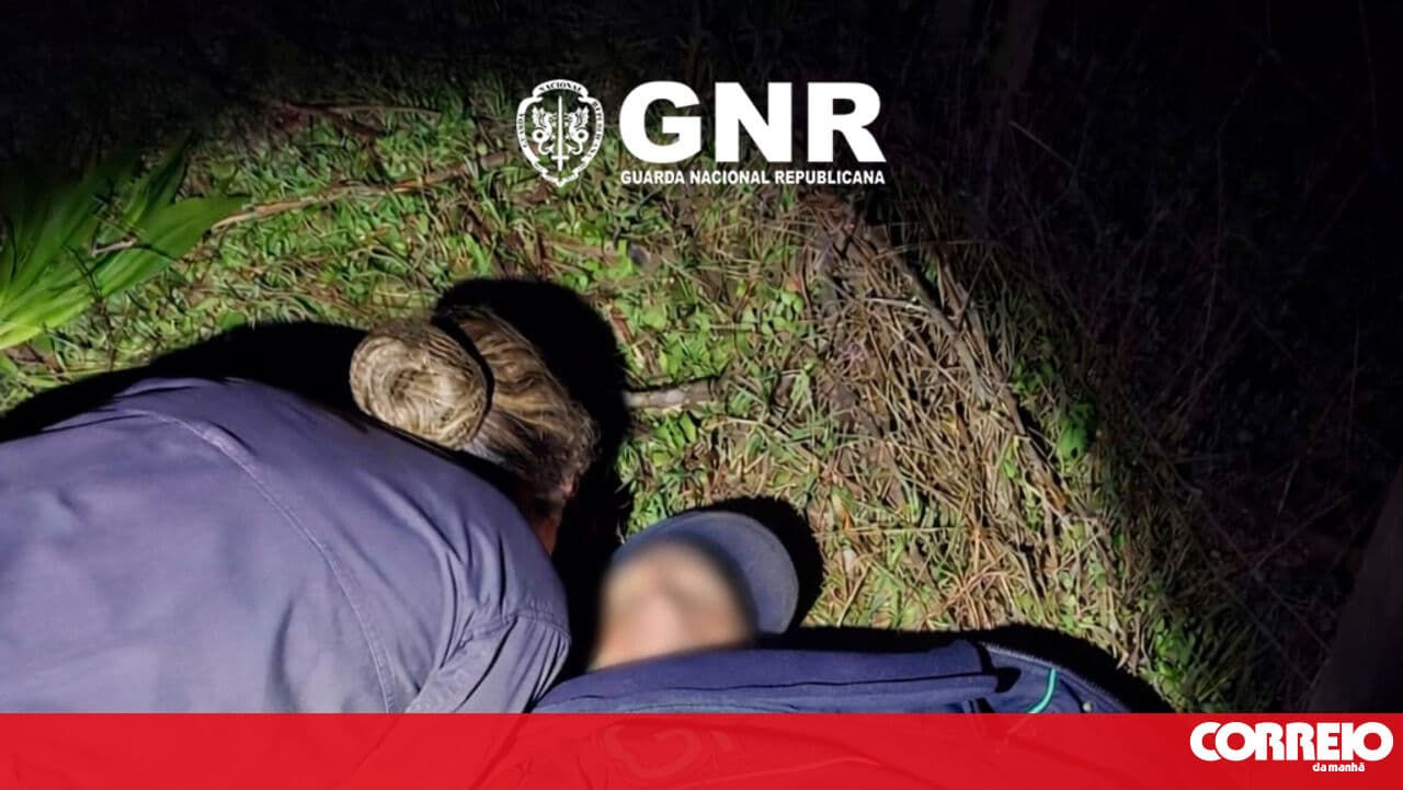 Drone locates elderly man alive in agricultural field in Idanha-a-Nova