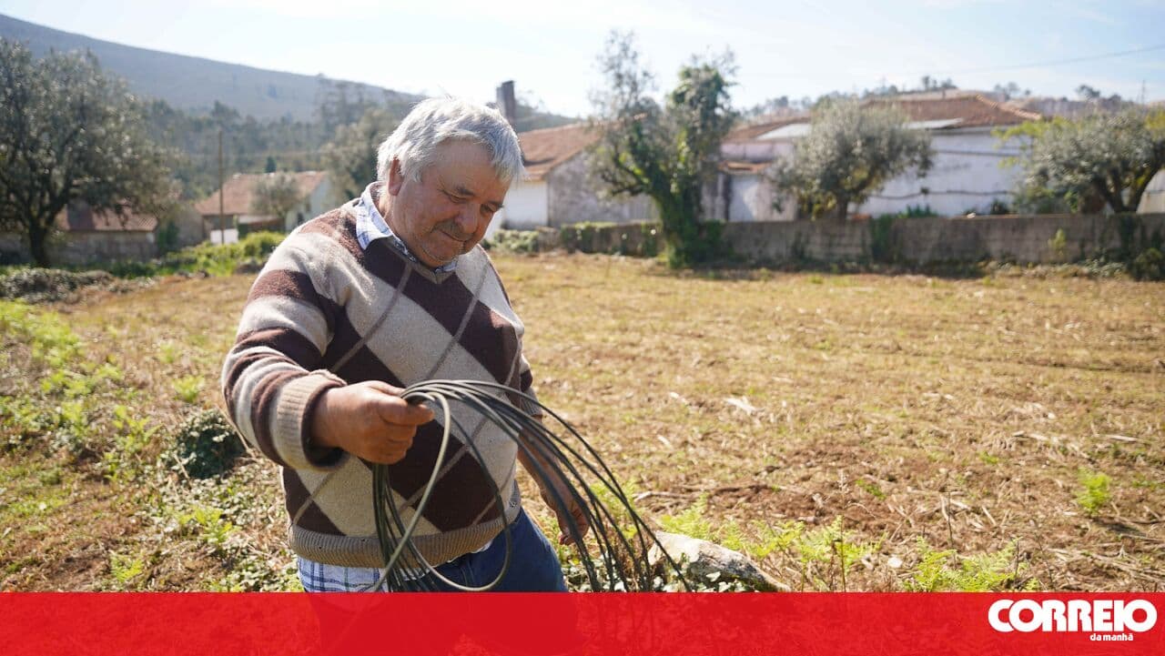 Porto de Mós still suffering from the effects of the storms. Fallen cables on the land hinder farmers
