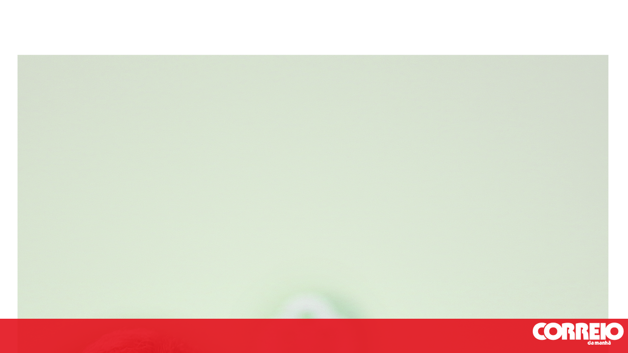 José Maria Ricciardi: The Espírito Santo cousin who challenged the 'owner of it all' has died