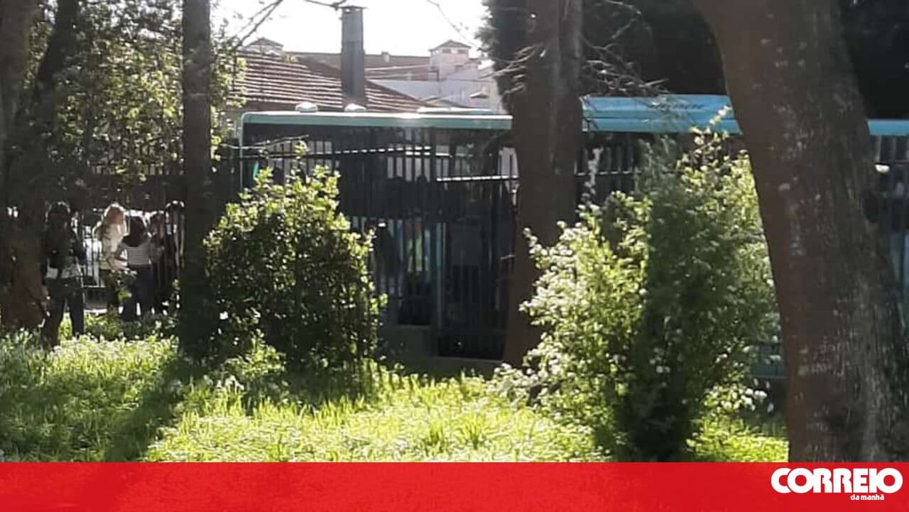 Teenager assaults bus driver in Ovar