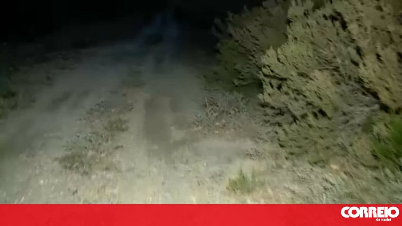 Tânia Laranjo at the site where former police officer claims to have buried his partner and ex-wife after suffocating them