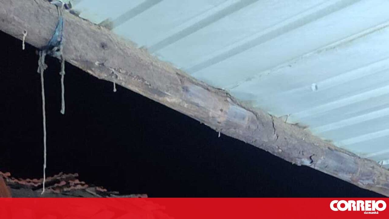 Man dies after stable roof collapses in Vinhais