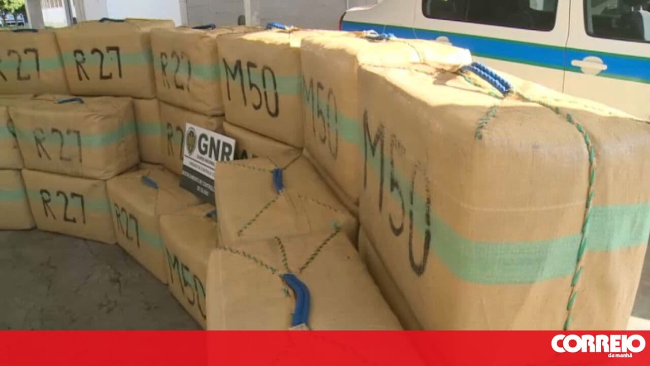PJ catches criminal group with 350 kg of hashish in Olhão