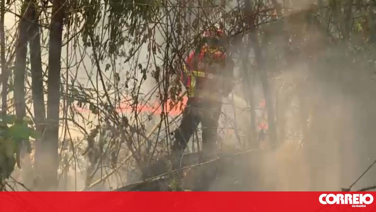 Uncontrolled burning leads to fire in Tarouca
