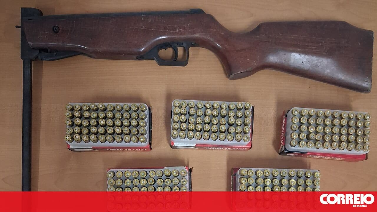 GNR confiscates weapons from aggressor in Vouzela
