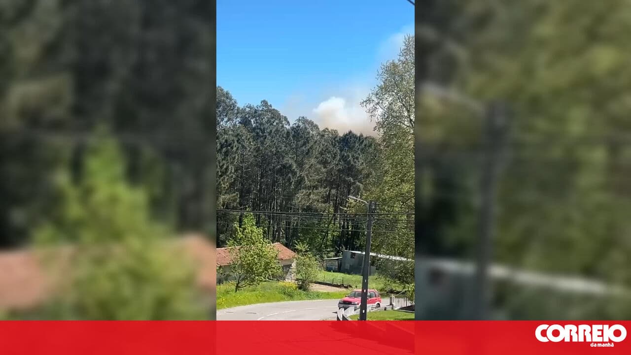 Forest fire breaks out in Aveiro