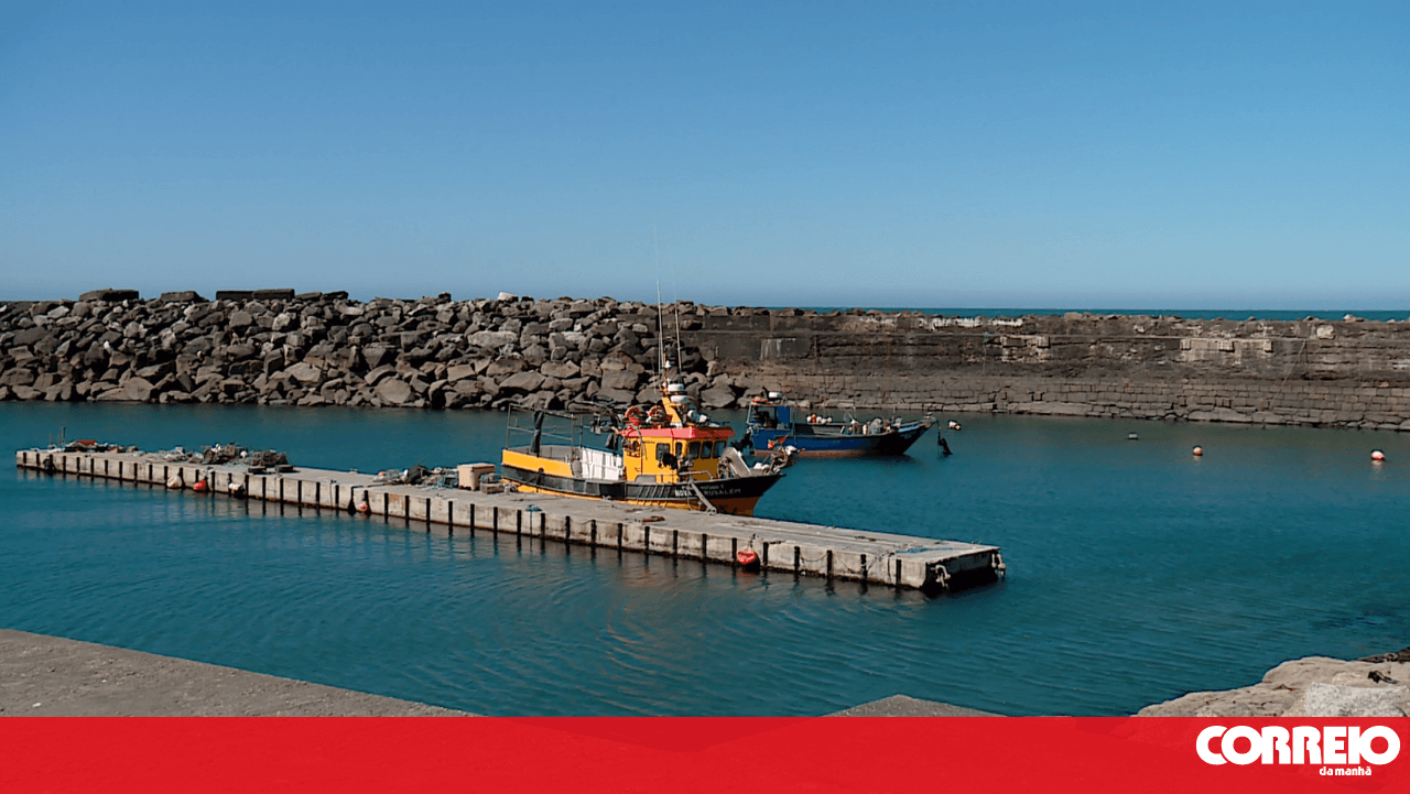 Fishermen 'almost pay to work': Sector complains about fuel prices and asks the Government for more aid