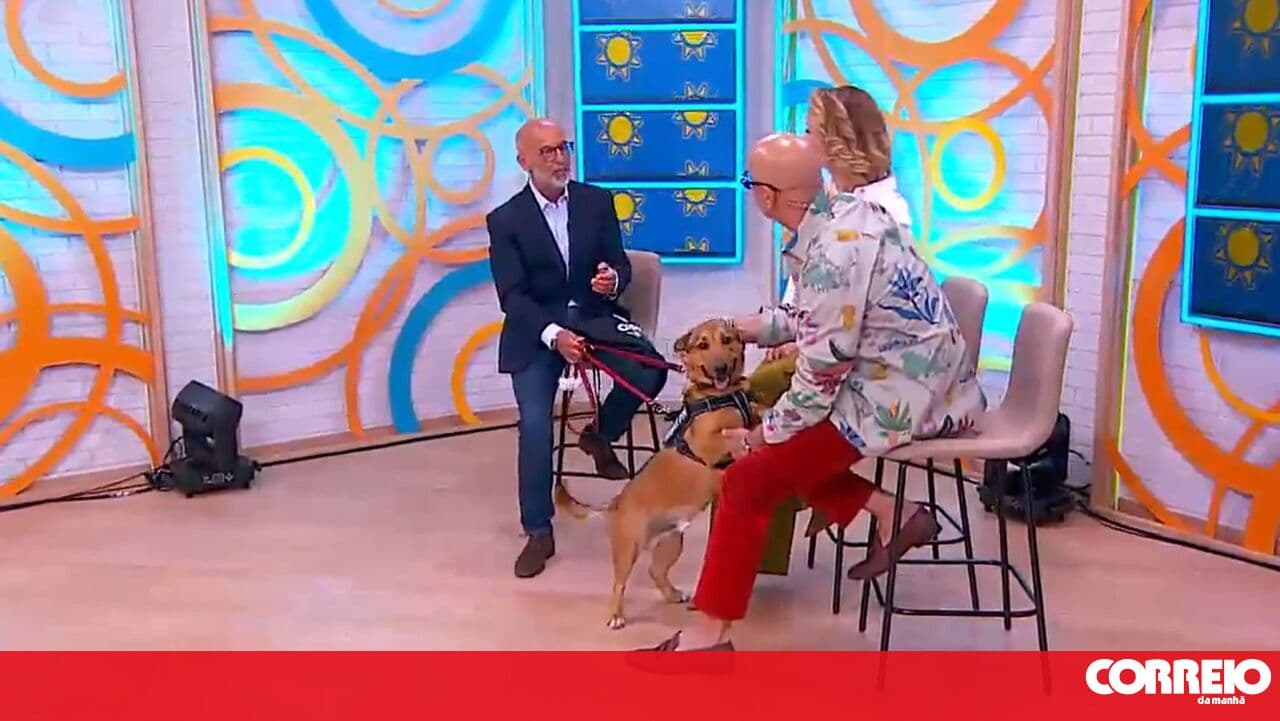 Oeiras created the Green Seal initiative for animal-friendly spaces