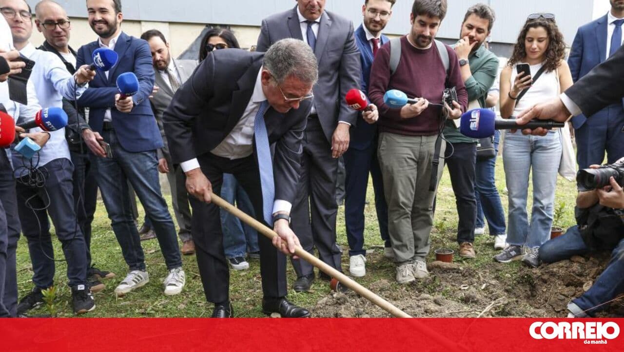 Seguro plants strawberry tree at Proença-a-Nova Business Park following damage caused by bad weather