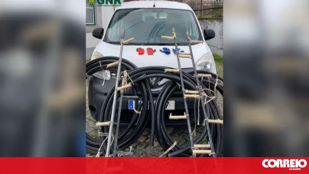 Two men caught in the act of stealing telecommunications cables