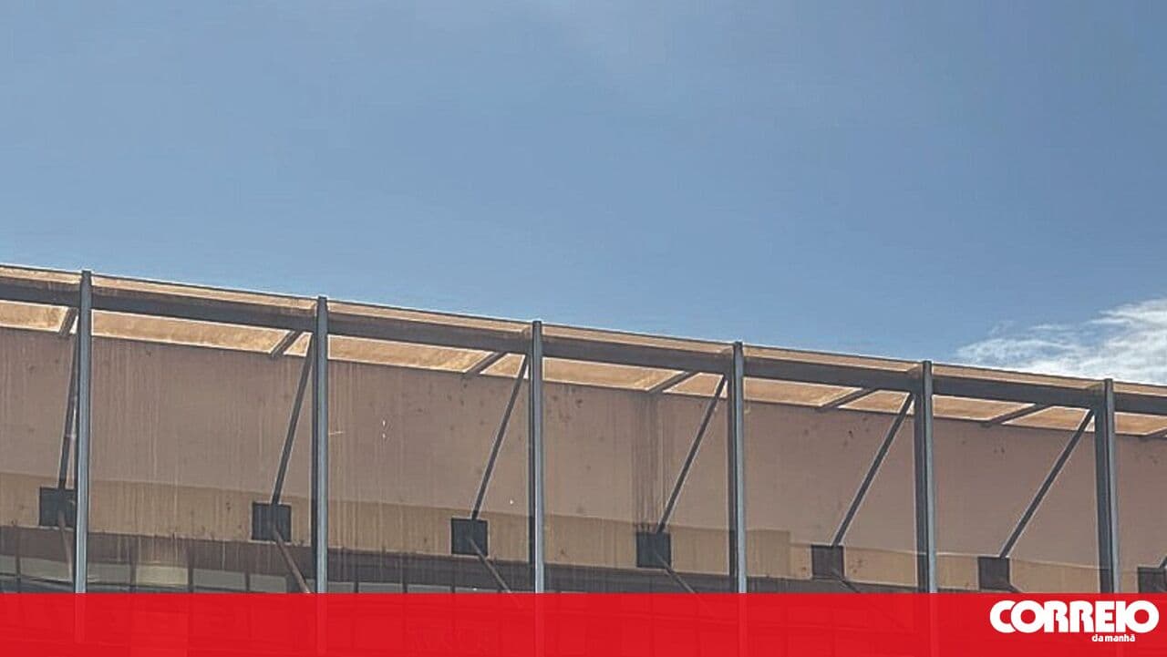 Night of partying ends with four stabbed outside a nightclub in Paços de Ferreira